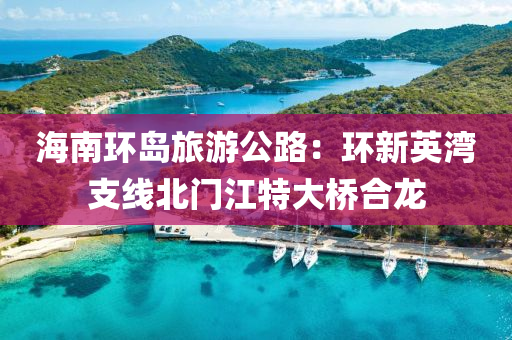 海南環(huán)島旅游公路：環(huán)新英灣支線北門江特大橋合龍液壓動力機械,元件制造