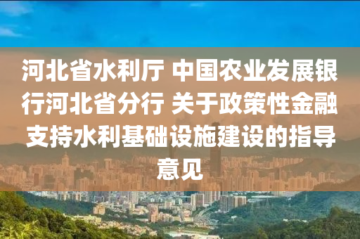 河北省水利廳 中國農(nóng)業(yè)發(fā)展銀行河北省分行 關(guān)于政策性金融支持水利基礎設施建設的指導意見