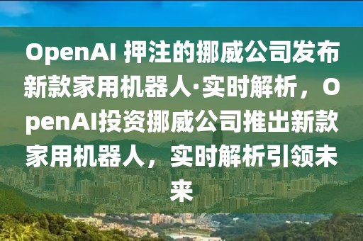 液壓動力機械,元件制造OpenAI 押注的挪威公司發(fā)布新款家用機器人·實時解析，OpenAI投資挪威公司推出新款家用機器人，實時解析引領未來