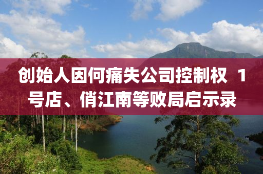 創(chuàng)始人因何痛失公司控制權(quán)  1號(hào)店、俏江南等敗局啟示錄液壓動(dòng)力機(jī)械,元件制造