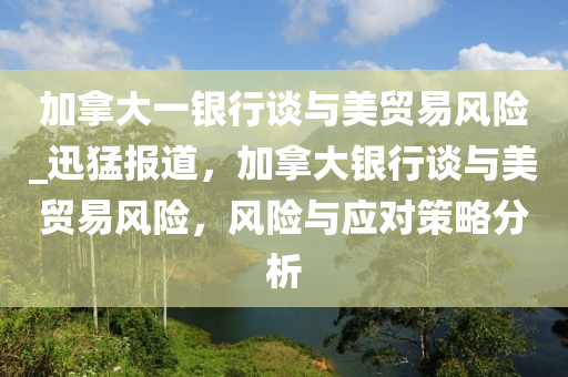 加拿大一銀行談與美貿(mào)易風(fēng)險(xiǎn)_迅猛報(bào)道，加拿大銀行談與美貿(mào)易風(fēng)險(xiǎn)，風(fēng)險(xiǎn)與應(yīng)對(duì)策略分析液壓動(dòng)力機(jī)械,元件制造