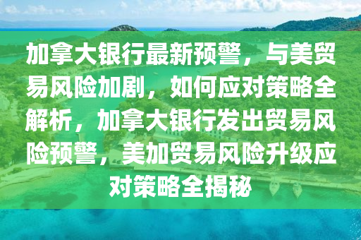 加拿大銀行最新預警，與美貿易風險加劇，如何應對策略全解析，加拿大銀行發(fā)出貿易風險預警，美加貿易風險升級應液壓動力機械,元件制造對策略全揭秘