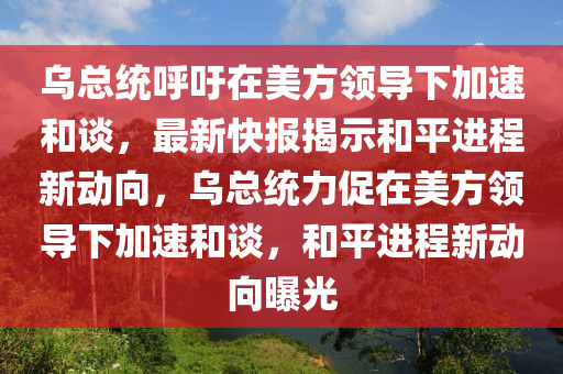 烏總統(tǒng)呼吁在美方領(lǐng)導(dǎo)下加速和談，最新快報揭示和平進(jìn)程新動向，烏總統(tǒng)力促在美方領(lǐng)導(dǎo)下加速和談，和平進(jìn)程新動向曝光