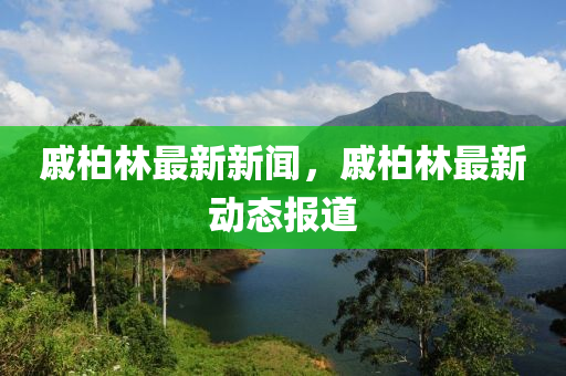 戚柏林最新新聞，戚柏林最新動(dòng)態(tài)報(bào)道