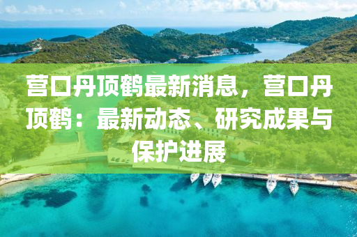 營口丹頂鶴最新消息，營口丹頂鶴：最新動態(tài)、研究成果與保護進展液壓動力機械,元件制造