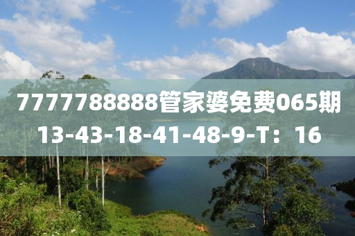 7777788888管家婆免費065期13-43-18-41-48-9-T：16