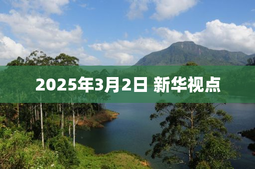 2025年3月2日 新華視點液壓動力機械,元件制造