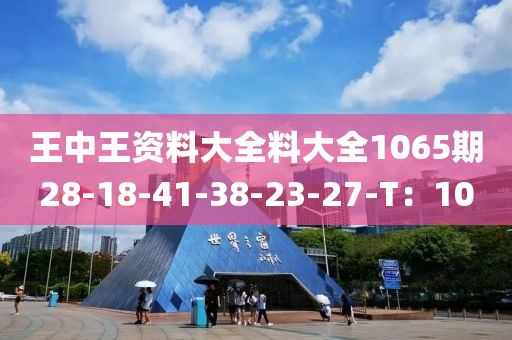 王中王資料大全料大全1065期28-18-41-38-23-27-T：10