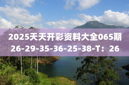 2025天天開彩資料大全065期26-29-35-36-25-38-T：26