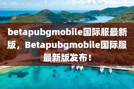 betapubgmobile國(guó)際服最新版，Betapubgmob液壓動(dòng)力機(jī)械,元件制造ile國(guó)際服最新版發(fā)布！