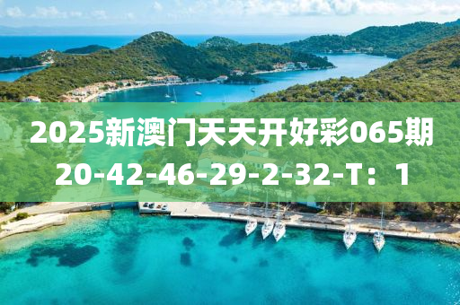 2025新澳門天天開(kāi)好彩065期20-42-46-2液壓動(dòng)力機(jī)械,元件制造9-2-32-T：1