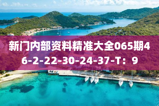 新門內(nèi)部資料精準大全065期46-2-22-30-24-37-T：9液壓動力機械,元件制造