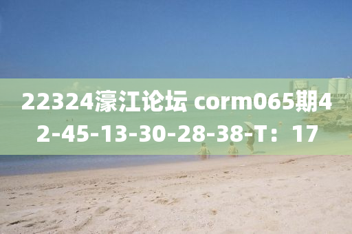 22324濠江論壇 corm065期42-45-13-30-28-38-T：17液壓動力機(jī)械,元件制造