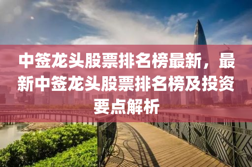 中簽龍頭股票排名榜最新，最新中簽龍頭股票排名榜及投資要點解析