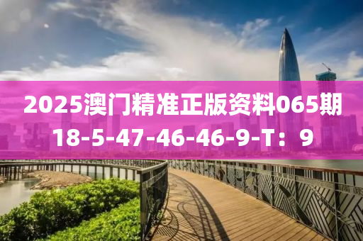 2025澳門精準正版資料065期18-5-47-46-46-9-T：9液壓動力機械,元件制造