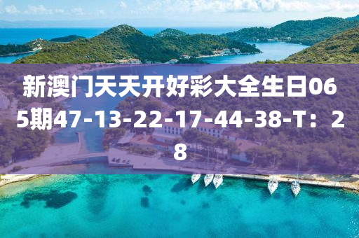 新澳門天天開好彩大全生日065期47-13-22-17-44-38-T：28