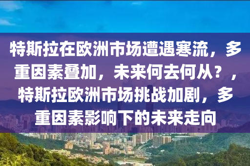 特斯拉在歐洲市場(chǎng)遭遇寒流，多重因素疊加，未來何去何從？，特斯拉歐洲市場(chǎng)挑戰(zhàn)加劇，多重因素影響下的未來走向液壓動(dòng)力機(jī)械,元件制造