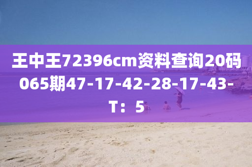 王中王72396cm資料查液壓動力機械,元件制造詢20碼065期47-17-42-28-17-43-T：5