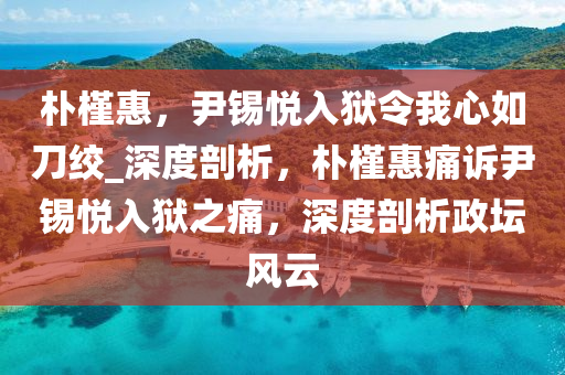 樸槿惠，尹錫悅?cè)氇z令我心如刀絞_深度剖析，樸槿惠痛訴液壓動力機(jī)械,元件制造尹錫悅?cè)氇z之痛，深度剖析政壇風(fēng)云