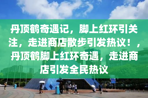 丹頂鶴奇遇記，腳上紅環(huán)引關注，走進商店散步引發(fā)熱議！，丹頂鶴腳上紅環(huán)奇遇，走進商店引發(fā)全民熱議液壓動力機械,元件制造