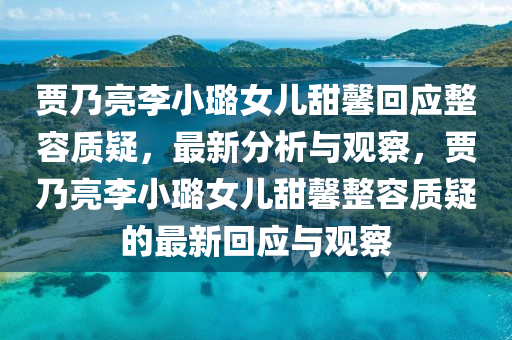 賈乃亮李小璐女兒甜馨回應整容質疑，最新分析與觀察，賈乃亮李小璐女兒甜馨整容質疑的最新回應與觀察液壓動力機械,元件制造