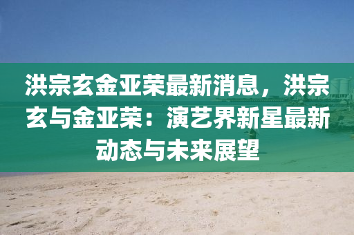 洪宗玄金亞榮最新消息，洪宗玄與金亞榮：演藝界新液壓動力機(jī)械,元件制造星最新動態(tài)與未來展望