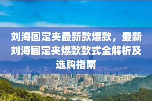 劉海固定夾最新款爆款，最新劉海固定夾爆款款式全解析及選購指南