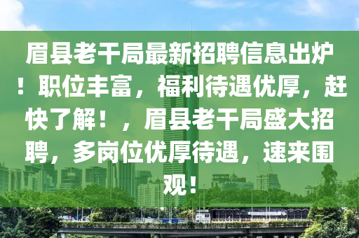 眉縣老干局最新招聘信息出爐！職位豐富，福利待遇優(yōu)厚，趕快了解！，眉縣老干局盛大招聘，多崗位優(yōu)厚待遇，速來圍觀！液壓動力機械,元件制造