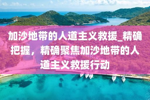 加沙地帶的人道主義救援_精確把握，精確聚焦加沙地帶的人道主義救援行動