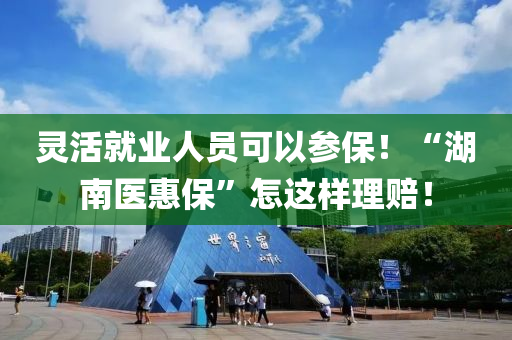 靈活就業(yè)人員可以參保！“湖南醫(yī)惠保”怎這樣理賠！液壓動(dòng)力機(jī)械,元件制造