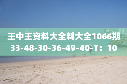 王中王資料大全料大全1066期33-48-30-液壓動力機械,元件制造36-49-40-T：10