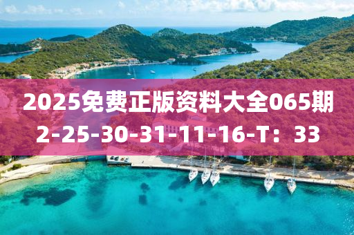 2025免費正版資料大全065期2-25-30-31-11-16-T：33