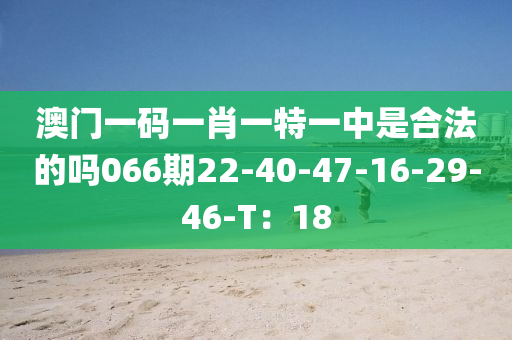 澳門一碼一肖一特一中是合法的嗎066期22-40-47-16-29-46-T：18