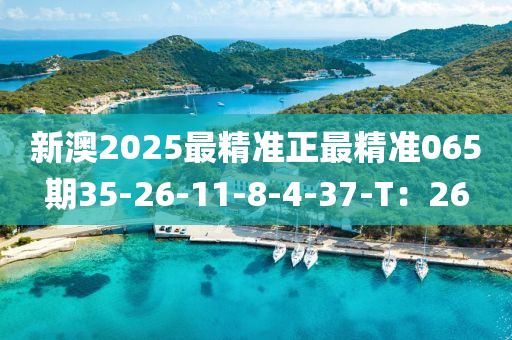 2025年3月7日 第118頁