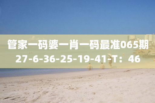 管家一碼婆一肖一碼最準065期27-6-36-25-19-41-T：46液壓動力機械,元件制造