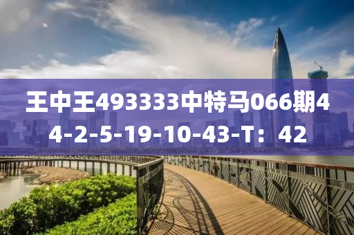 王中王493333中特馬066期44-2-5-19-10-43-T：42