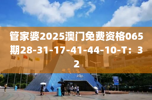 管家婆2025澳門免費資格065期28-31-17-41-44-10-T：32