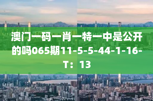 澳門一碼一肖一特一中是公開的嗎065期11-5-5-44-1-16-T：13