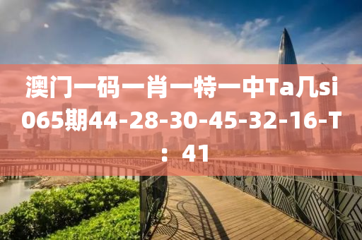 澳門一碼一肖一特一中Ta幾si065期44-28-30-45-32-16-T：41