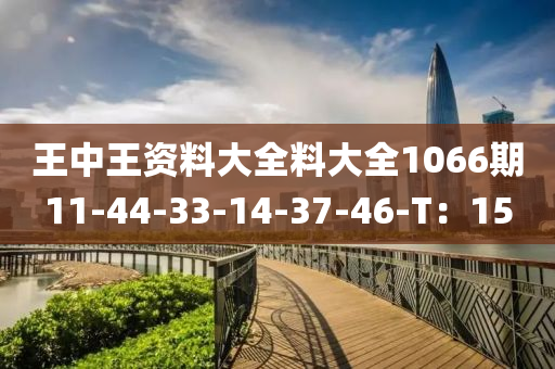 王中王資料大全料大全1066期11-44-33-14-37-46-T：15