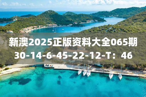 新澳2025正版資料大全065期30-14-6-45-22-12-T：46