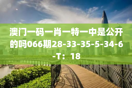 澳門一碼一肖一特一中是公開的嗎066期28-33-35-5-34-6-T：18