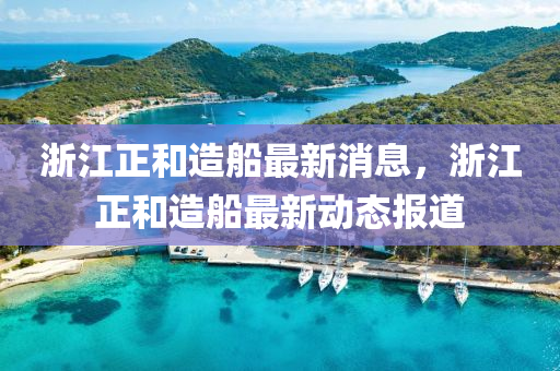 浙江正和造船最新消息，浙江正和造船最新動態(tài)報道液壓動力機械,元件制造