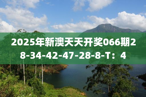 2025年新澳天天開(kāi)獎(jiǎng)066期28-34-42-47-28-8-T：4