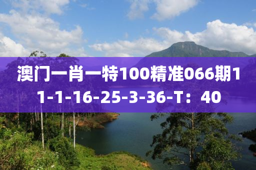 澳門一肖一特100精準066期11-1-16-25-3-36-T：40液壓動力機械,元件制造