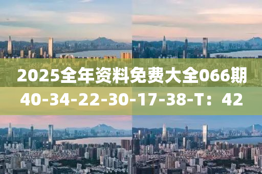 2025全年資料免費大全066期40-34-22-30-17-38-T：42