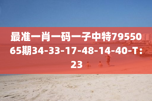 最準(zhǔn)一肖一碼一子中特7955065期34-33-17-48-14-40-T：23