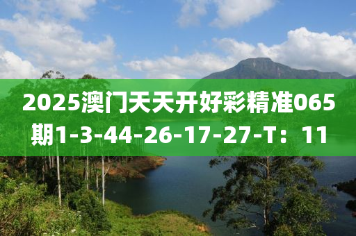 2025澳液壓動力機械,元件制造門天天開好彩精準065期1-3-44-26-17-27-T：11