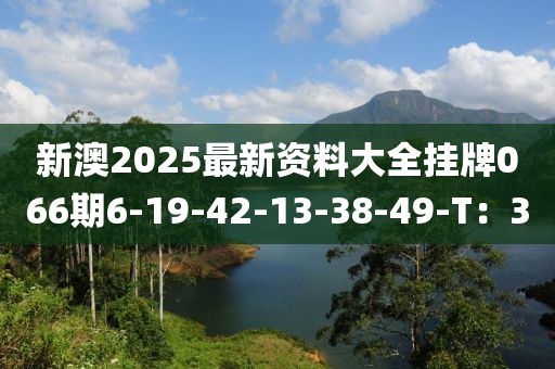 新澳2025最新資料大全掛牌066期6-19-42-13-38-49-T：30