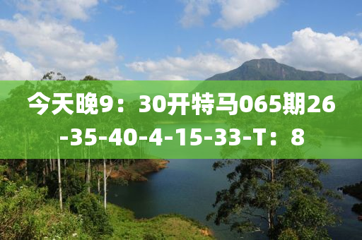 今天晚9：30開特馬065期26-35-40-4-15-33-T：8液壓動力機械,元件制造